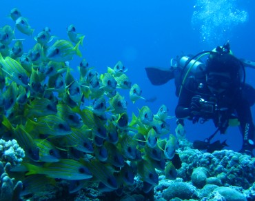 Reimagining Ocean Conservation