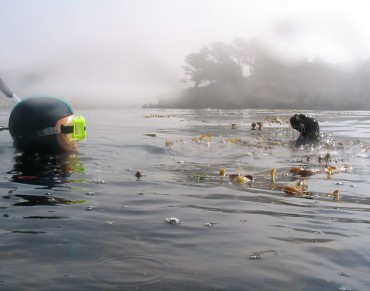 California Completes its Network of Marine Protected Areas
