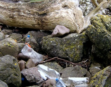 Scotland Unveils Strategy to Tackle Marine Litter