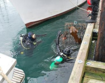 Cadets are Diving Against Debris