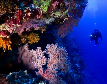 Marine Reserves in Australia, California gather steam