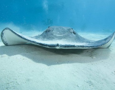 Featured Destination: Cayman Islands
