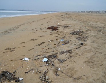 NOAA Economic Study Shows Marine Debris Costs California Residents Millions of Dollars