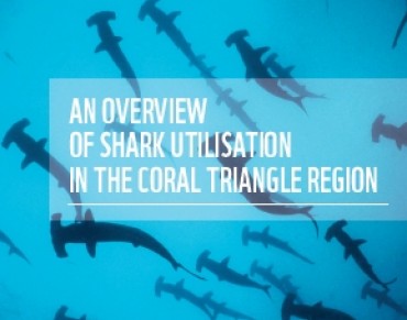 Poor Fisheries Management Endangers Sharks in the Coral Triangle