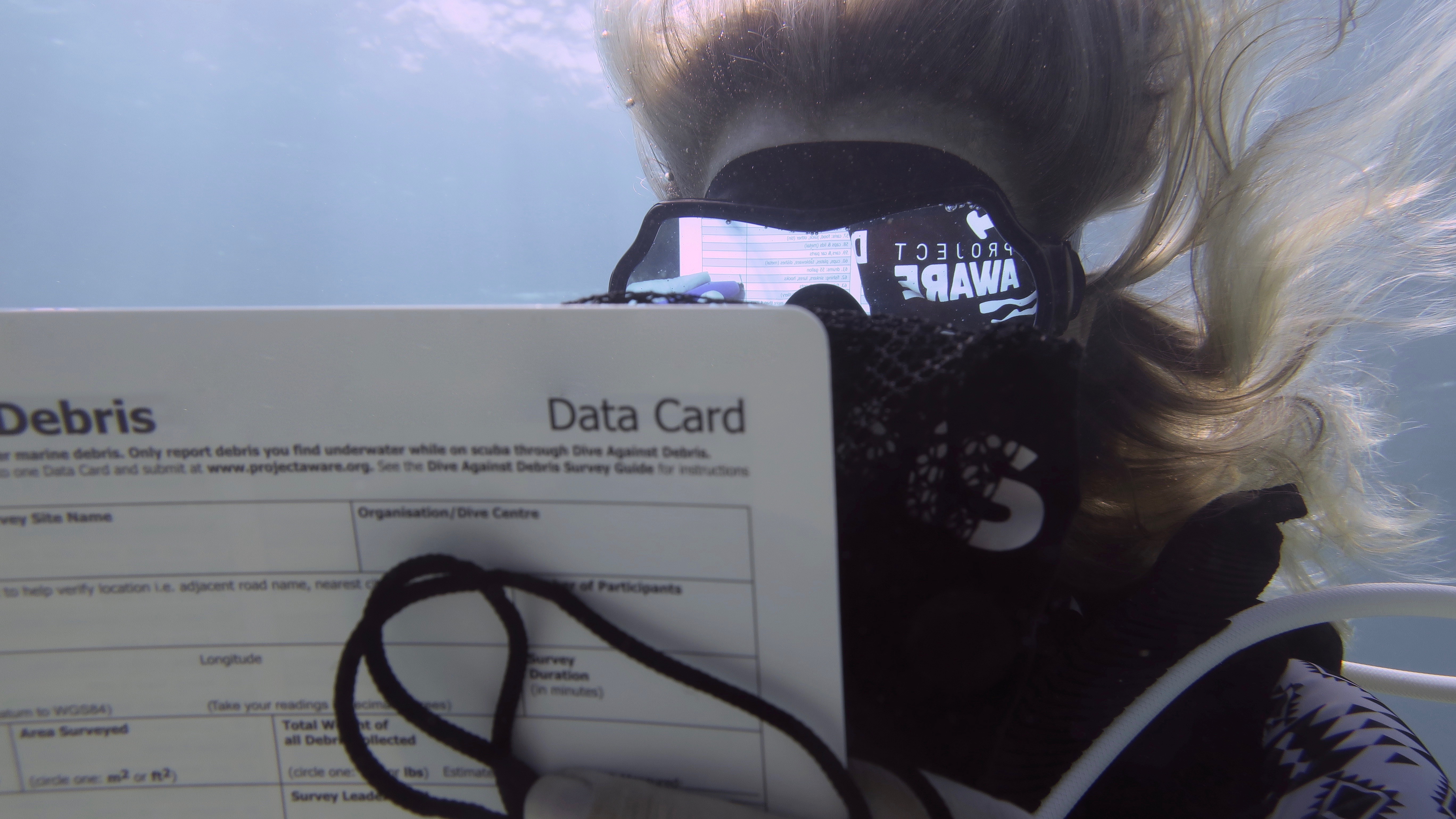 image of dive against debris data card