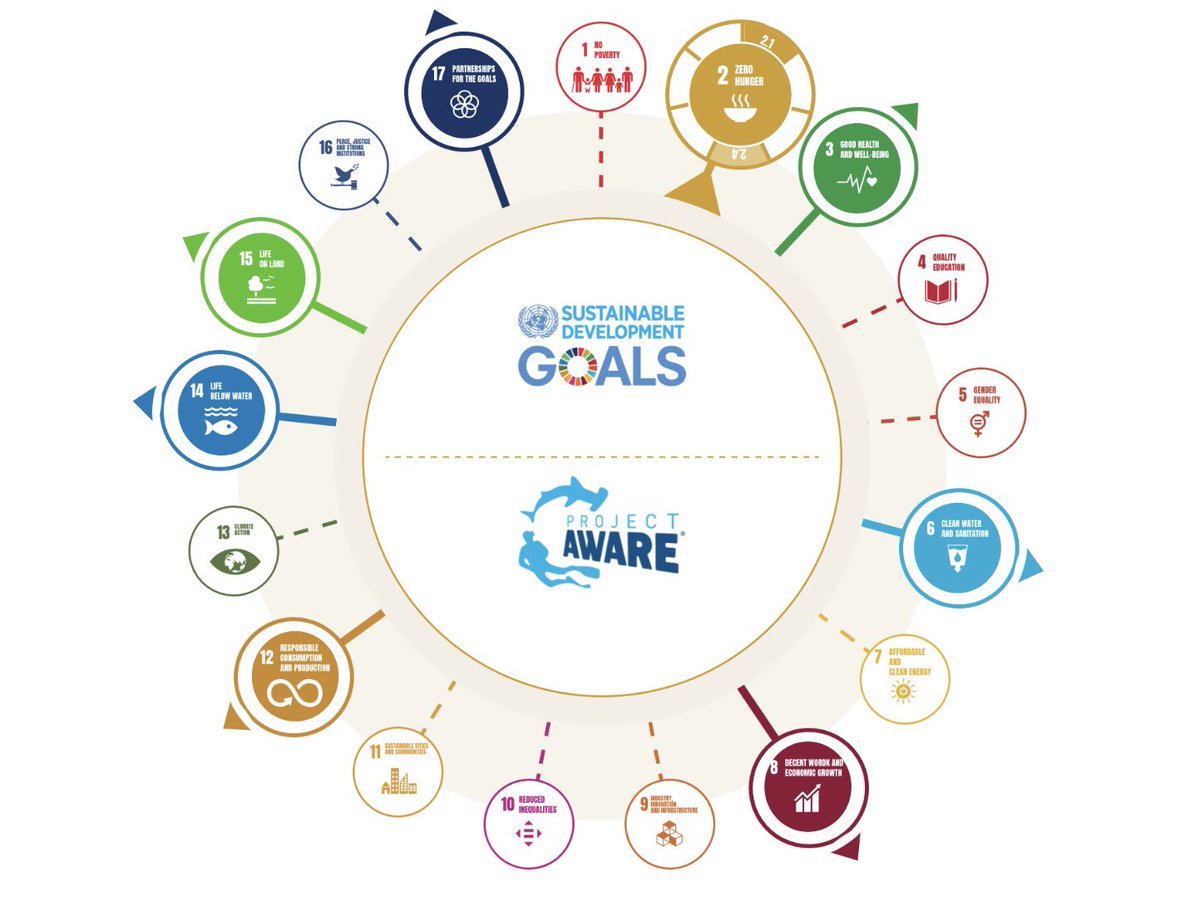 image of sdgs