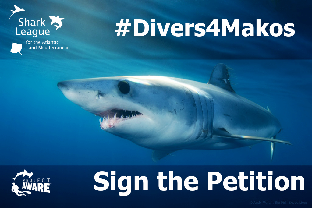 image of divers 4 makos petition