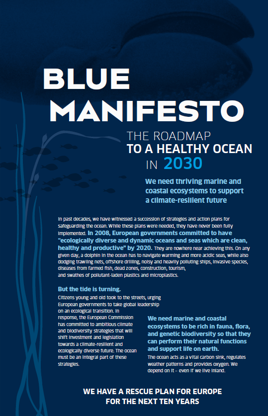 image of Blue Manifesto Front Cover