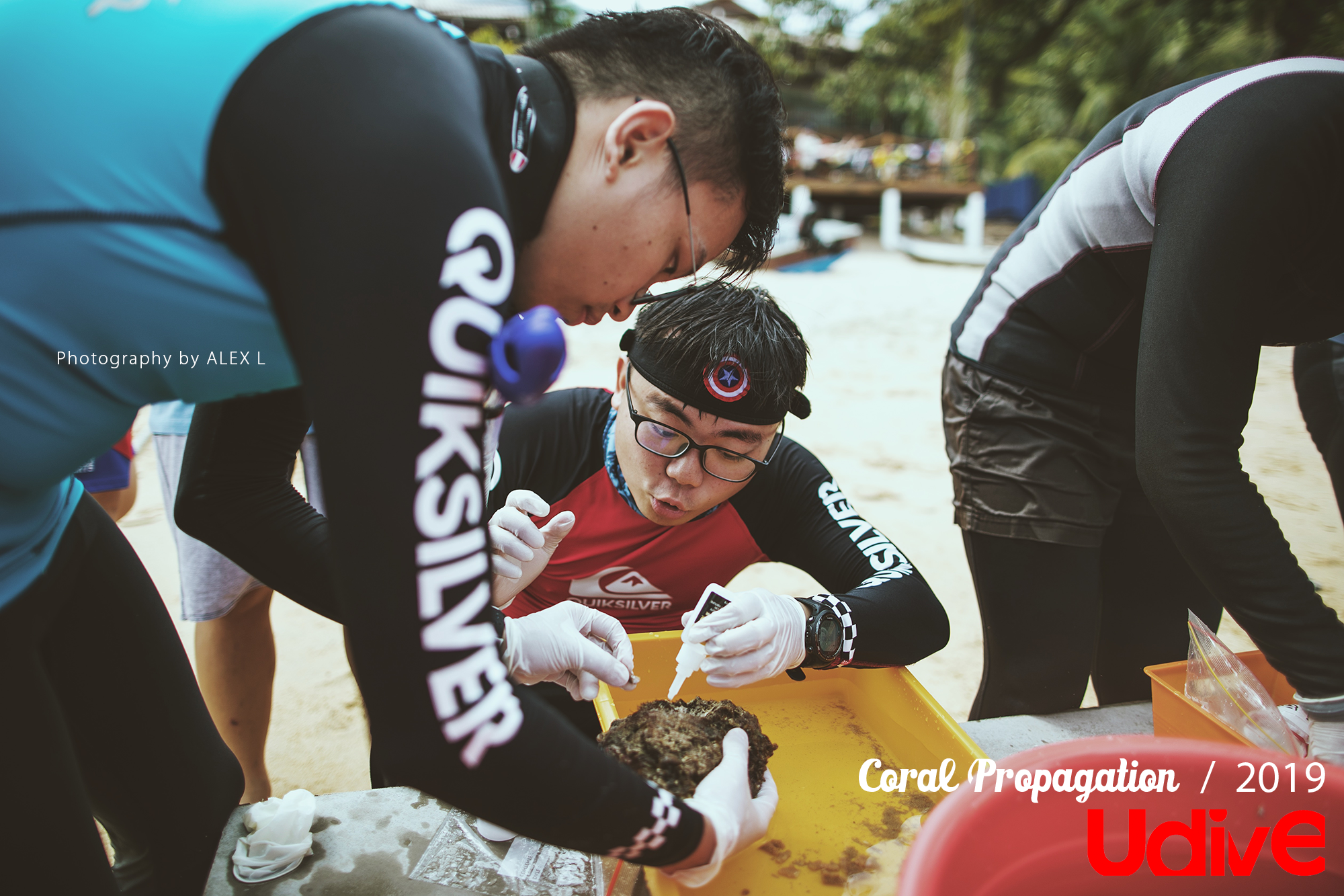 2019 coral propagation