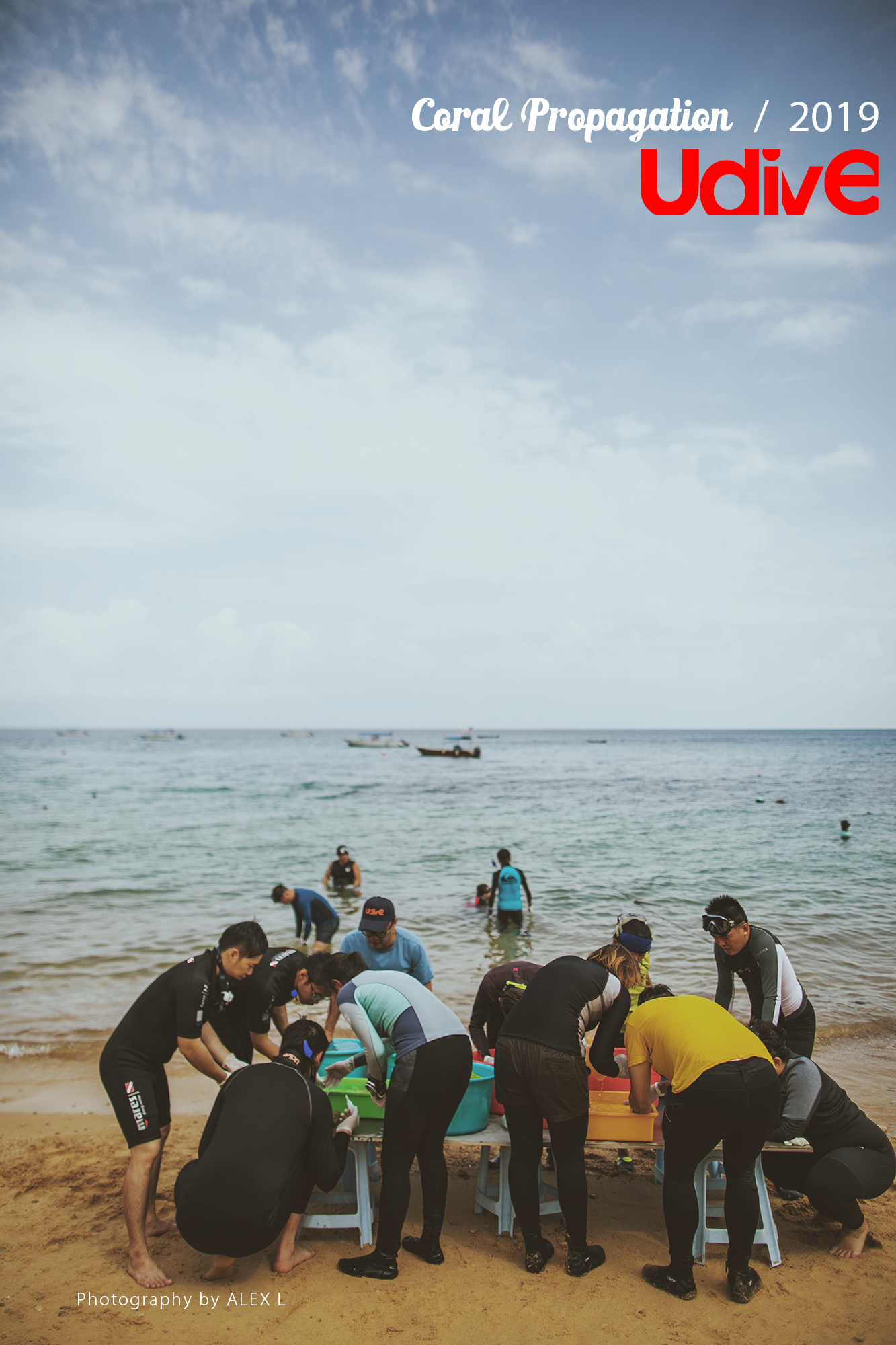 2019 coral propagation