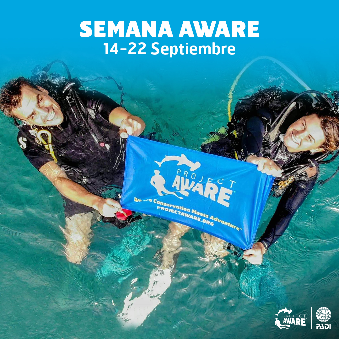 image of AWARE Week 2019 take action for the ocean - Spanish