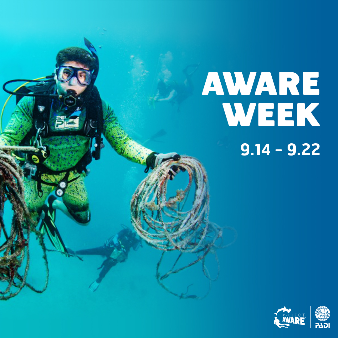 Image for AWARE Week 2019 Sign up for a course