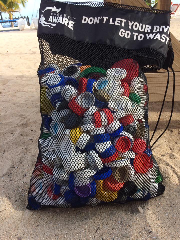In 2016, Dive Against Debris volunteers reported 2,317 plastic caps to Project AWARE's global marine debris survey 