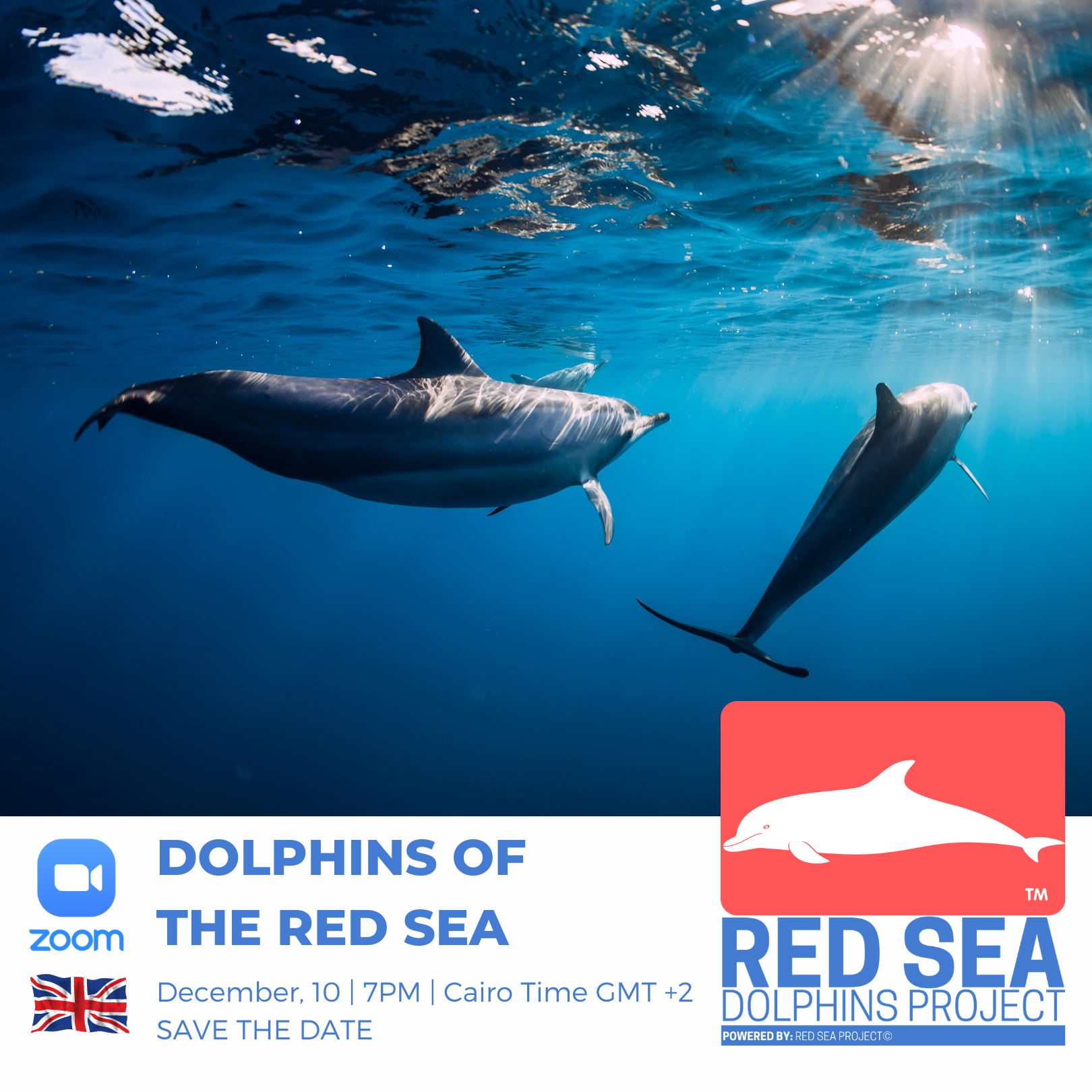 FREE Webinar