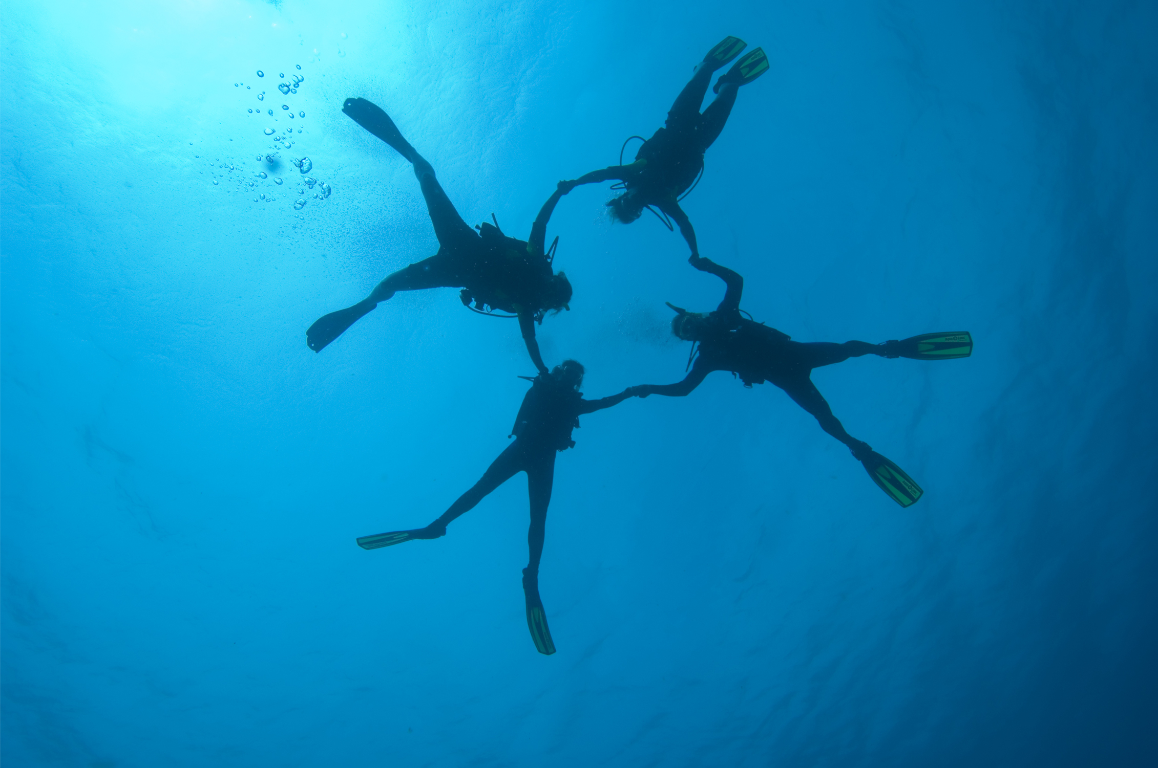 image of divers in circle