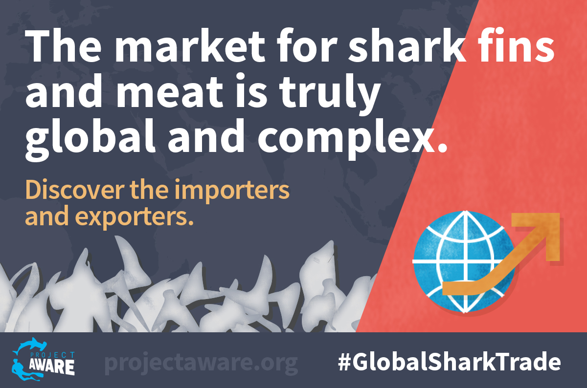 image of global shark trade 2