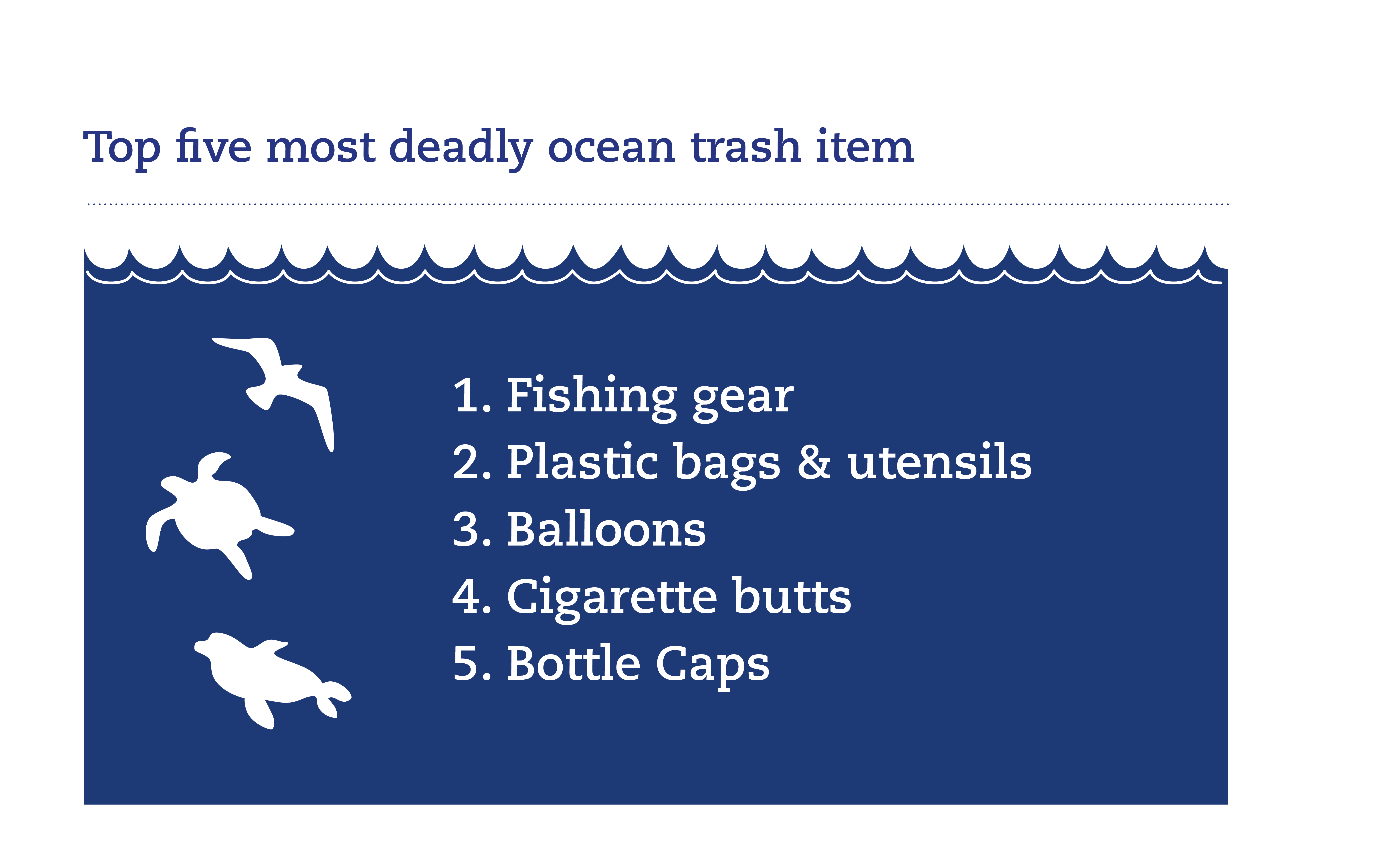 Image of top 5 deadliest trash items