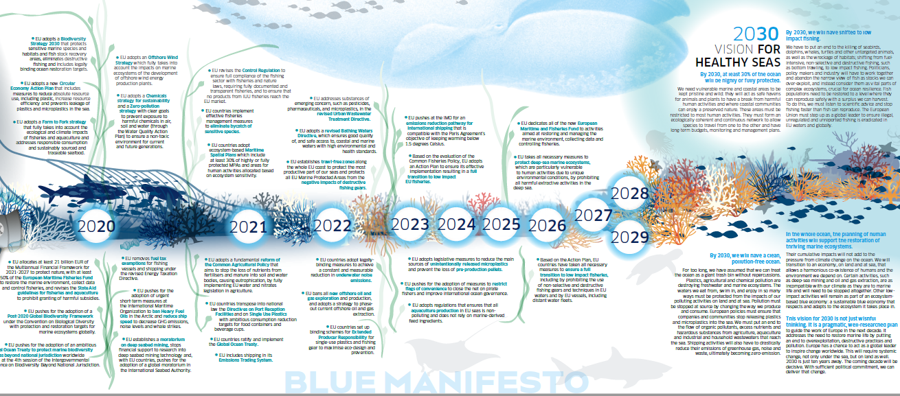 image of Blue Manifesto Timeline