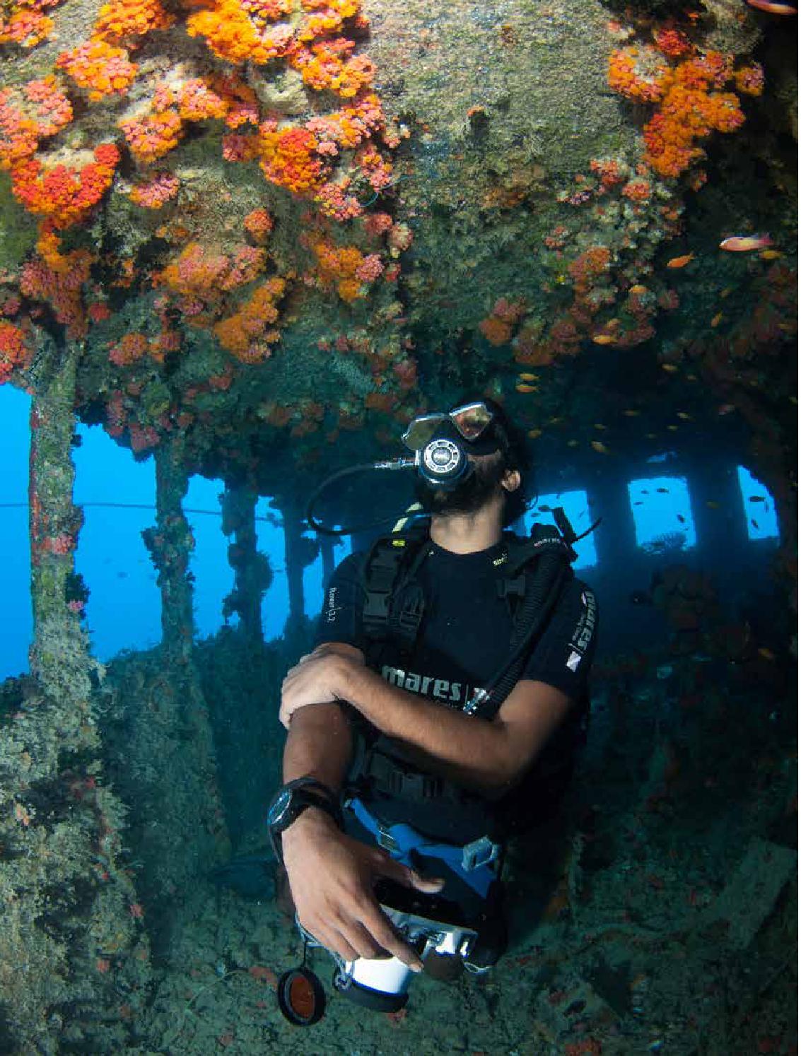 Inside the wheel house of the shipwreck, now completely covered in corals. Photo/Amooomaldives