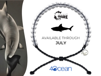 image of 4Ocean shark bracelet