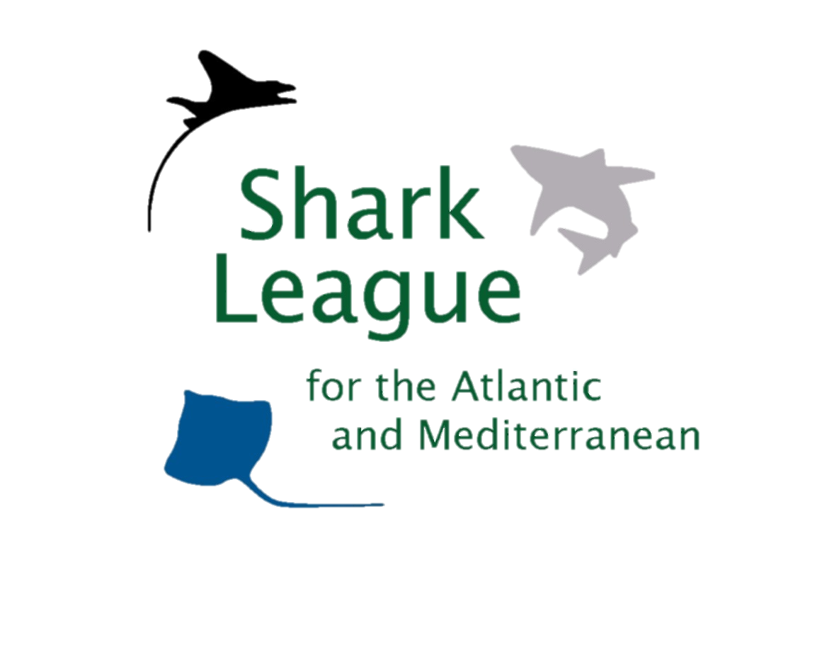 image of shark league logo