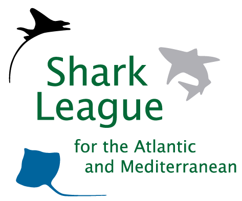 image of Shark League Logo