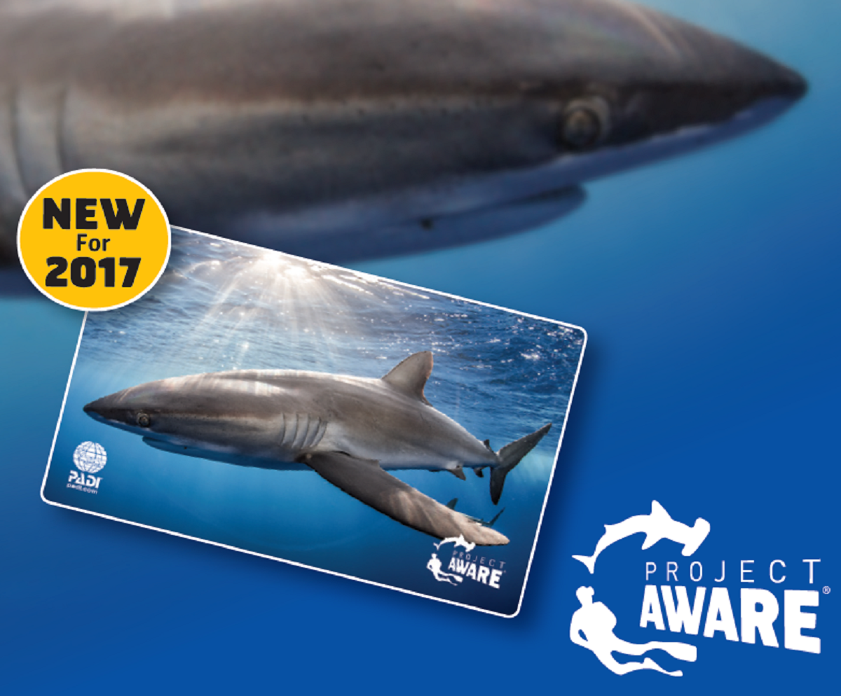 Image of 2017 PADI card supporting Project AWARE