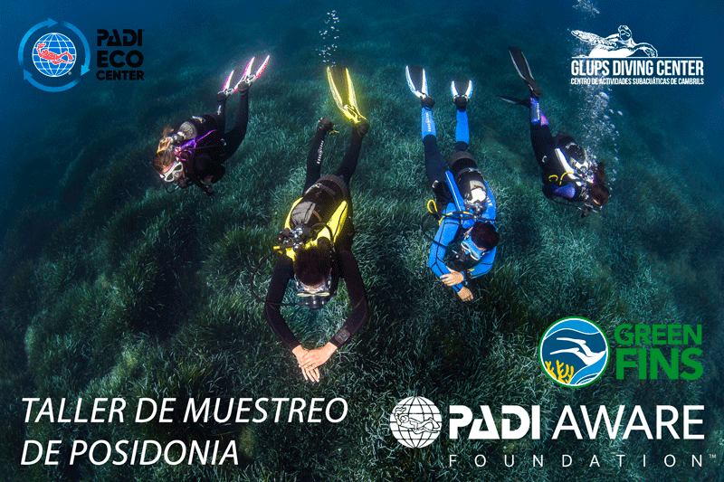 Muestreo-posidonia-accionambiental