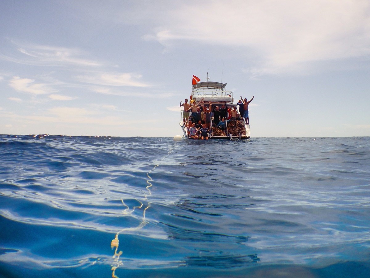 The Trash Trek helps clean up reefs that may never have been cleaned before