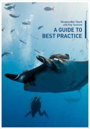 Image of sharks and rays tourism guide front cover