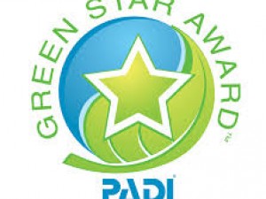Greenstar Award!