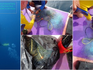 cutting free crab & corals from gill net