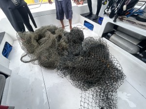 Small part of the nets that successfully removed 
