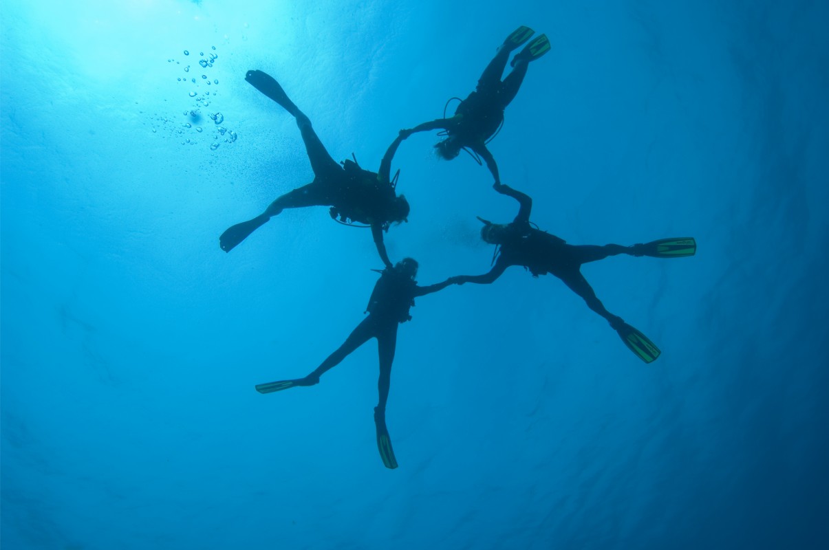 Photo copyright PADI - Divers in circle