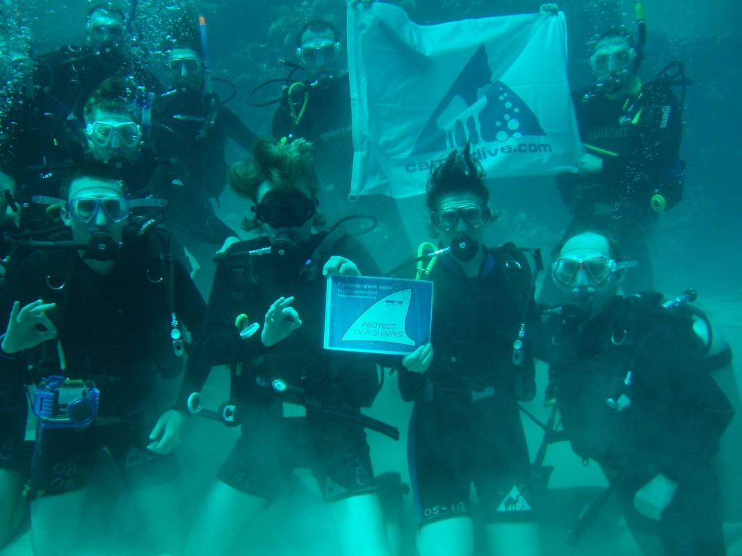 Image of divers with the EU shark finning ban sign