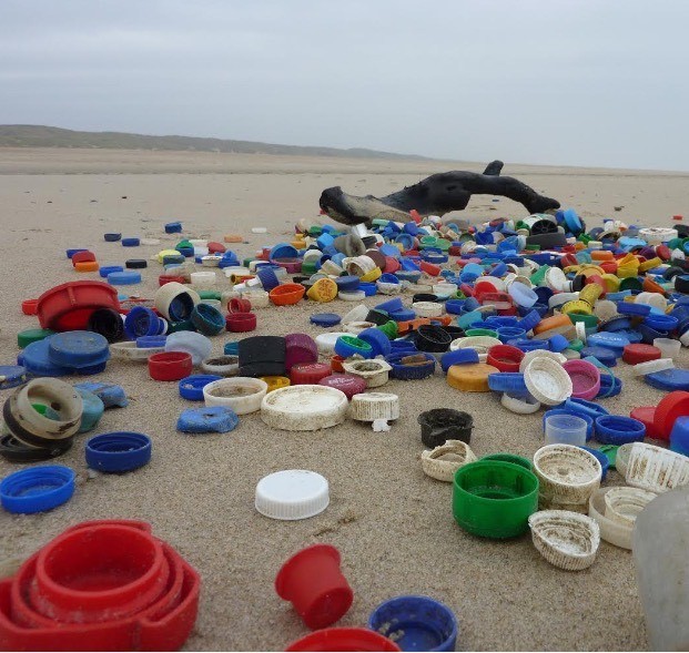 Image of plastic bottle caps beach - The North Sea Foundation