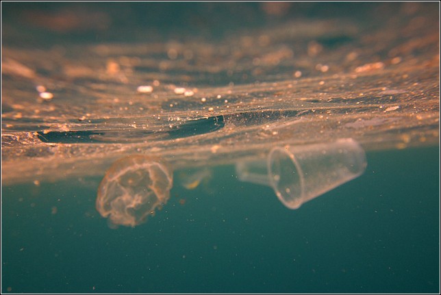 image of floating plastic cup