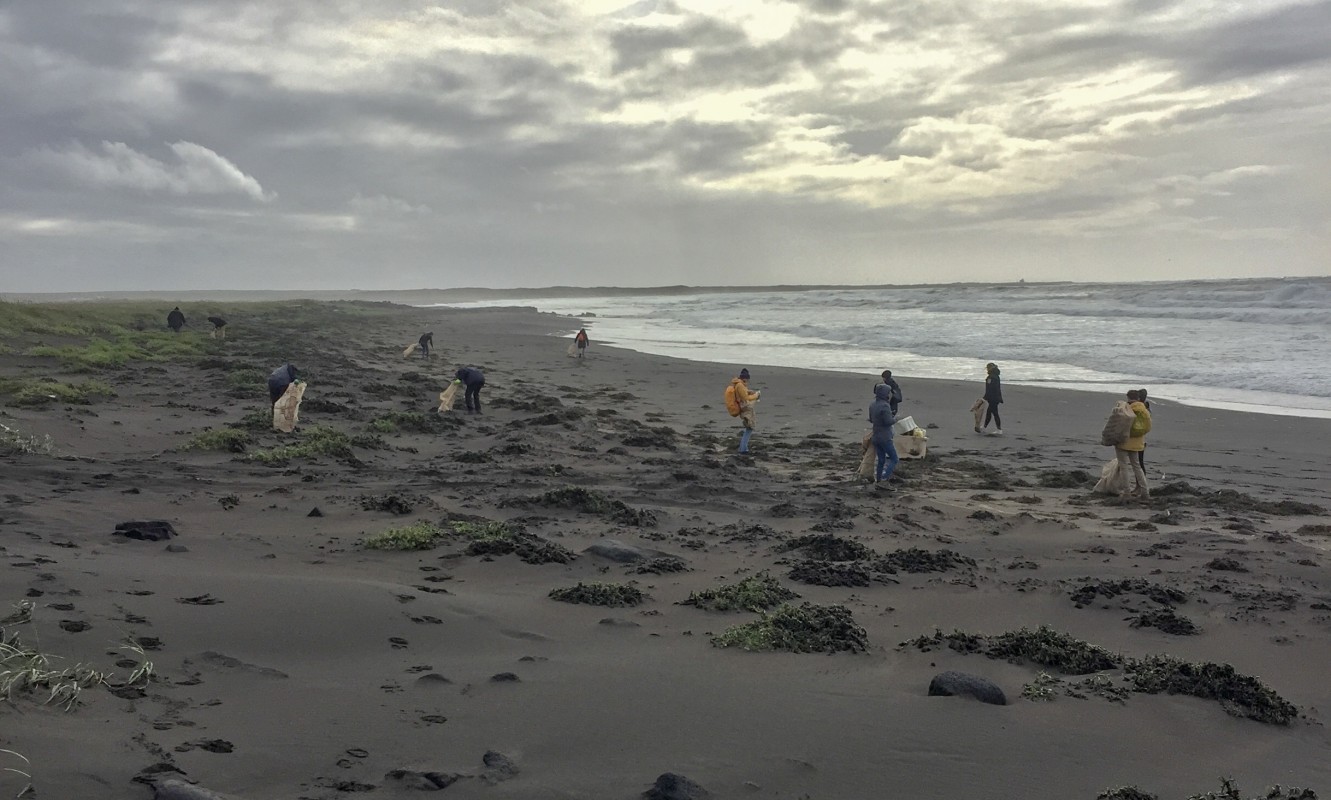 Iceland beach clean 