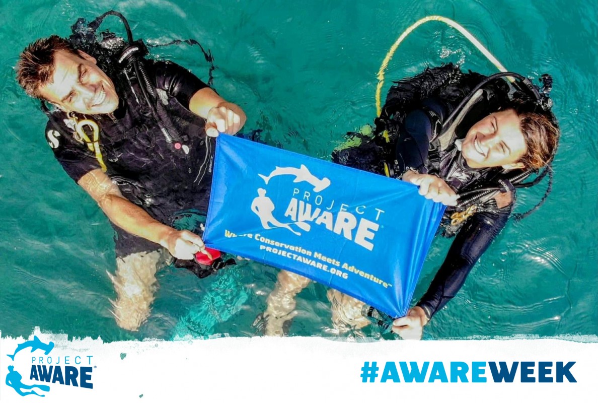 image of AWARE Week 2019