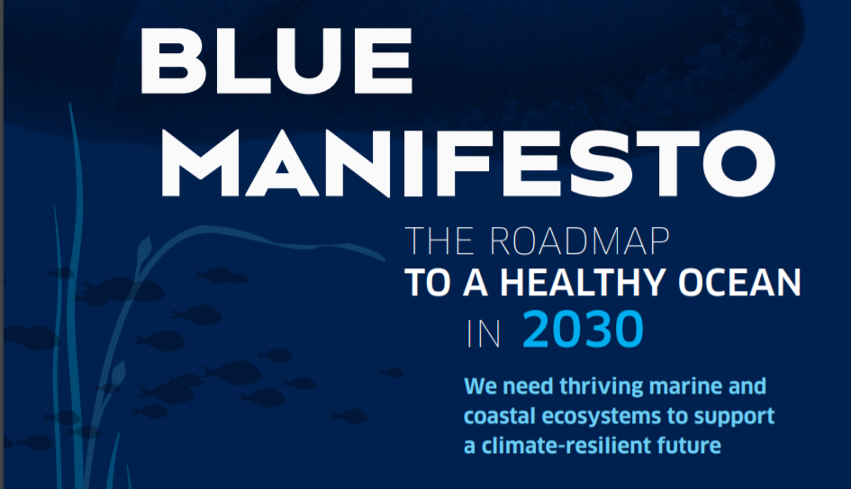 image of Seas At Risk Blue Manifesto Timeline