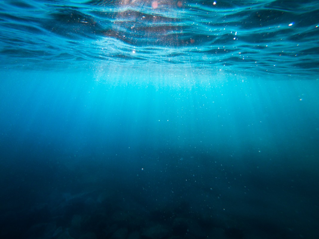 Ocean Photo by Cristian Palmer on Unsplash - Canary Islands, Spain - Underwater and lights
