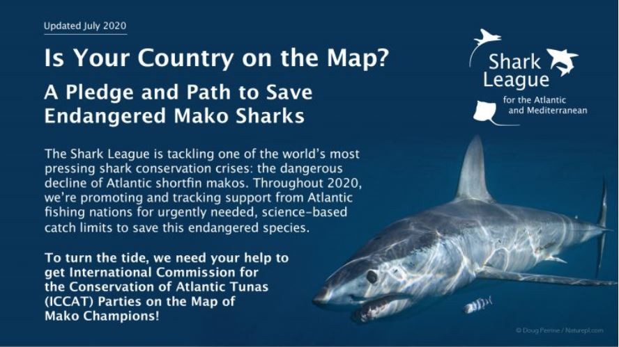 Mako Champions Map Shark League