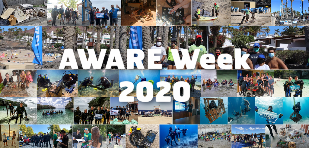 image of AWARE Week 2020