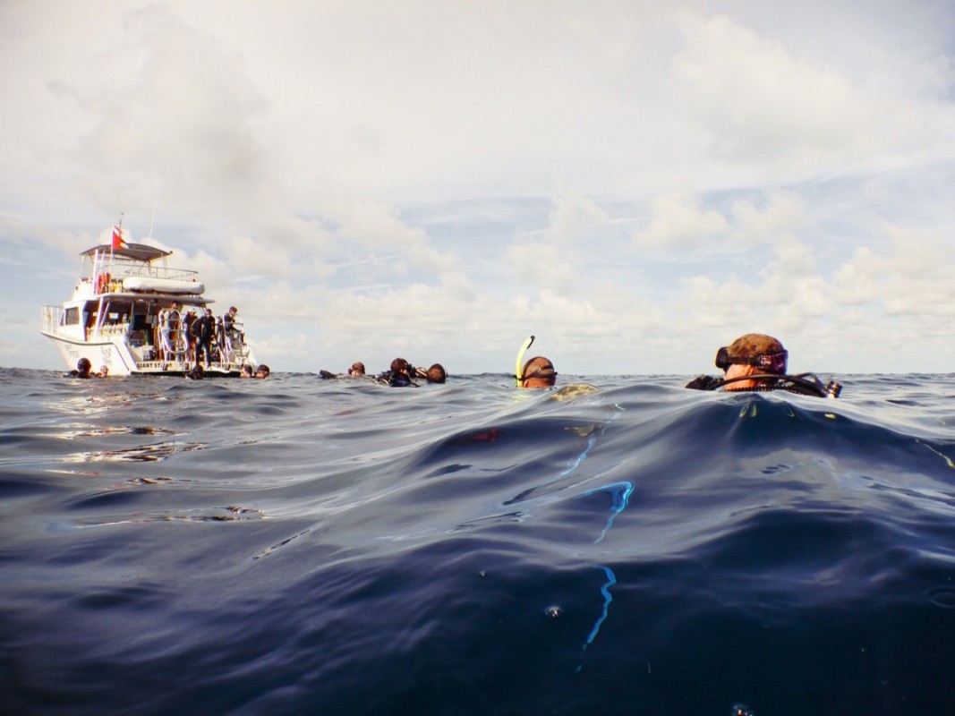 KEY DIVES HOSTS FIRST EVER TRASH TREK AND TURTLE RESCUE IN SAME DAY