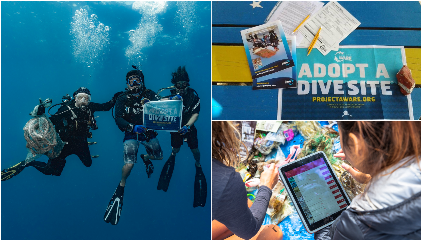 image of Adopt a Dive Site collage
