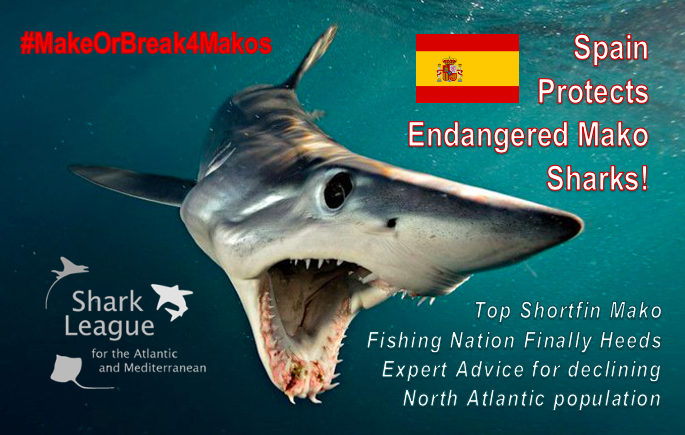 Shark League Spain mako ban 
