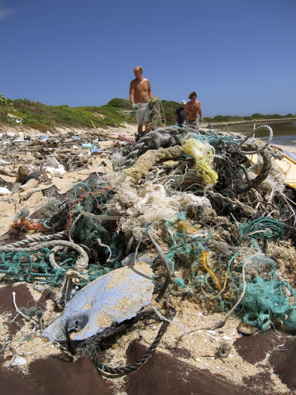 image of rubbish lining shoreline