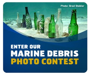 marine debris photo contest