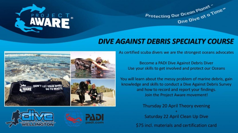 Dive Against Debris PADI Earth Day Clean Up Dive