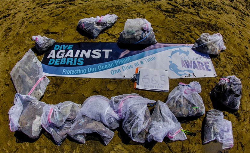 ProjectAware Dive Against Debris